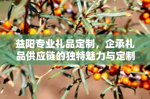 益阳专业礼品定制，企承礼品供应链的独特魅力与定制之旅